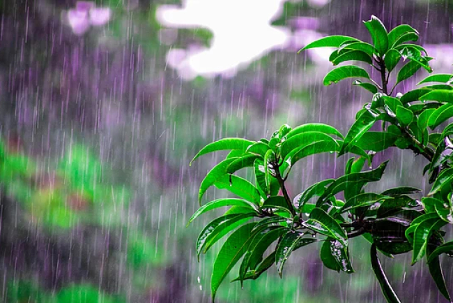 Mumbai Faces Early Monsoon Onset with Heavy Rainfall and Disruptions