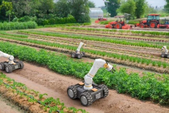 Robots Reshape Rural Employment in Agriculture and Beyond