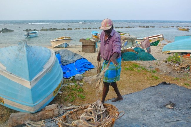 ILO Launches $2.8M Sustainability Project in Northern Sri Lanka