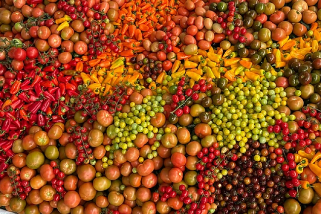 Early Monsoon Disrupts India’s Crop Prices