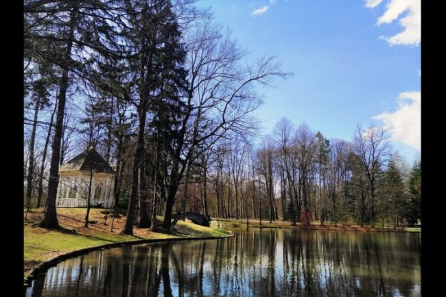 Gresham House Raises $500M For UK Forestry Fund