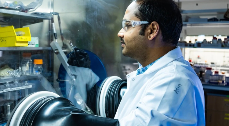 Innovative Carbon Structures Enhance Sodium-Ion Battery Performance