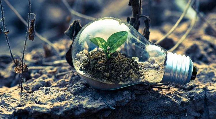 World Bank's Climate Finance Strategy Faces Global Scrutiny Ahead of 2025 Land Conference