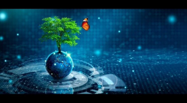Google Launches AI Accelerator To Tackle Environmental Risks