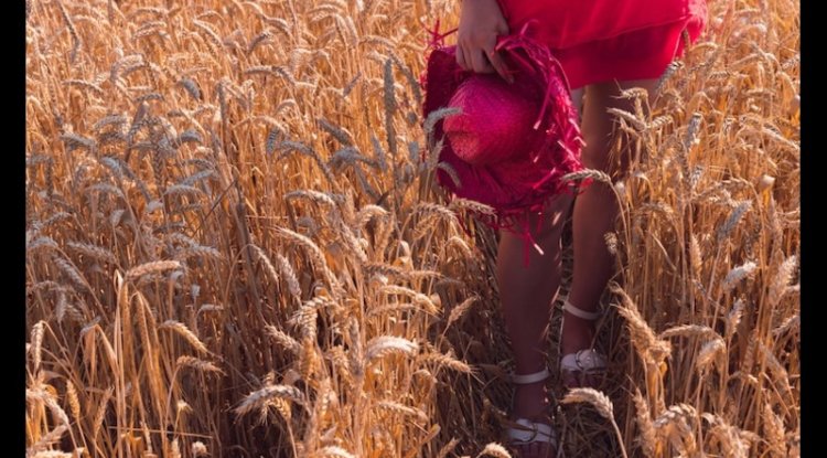 300 Villagers In Maharashtra Lost Hair Due To Toxic Wheat