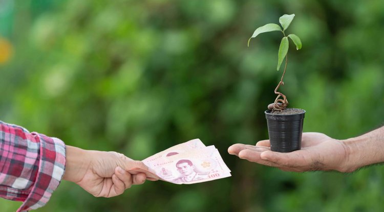 Bosqar Plans €150M Sustainability Bonds to Boost ESG Funding