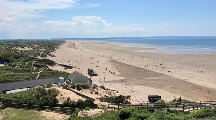 Devon Beach Cable Project Approved Despite Widespread Opposition