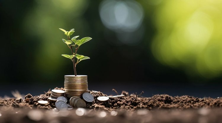 Welsh Bank Launches CO2 Automation Scheme for UK SMEs