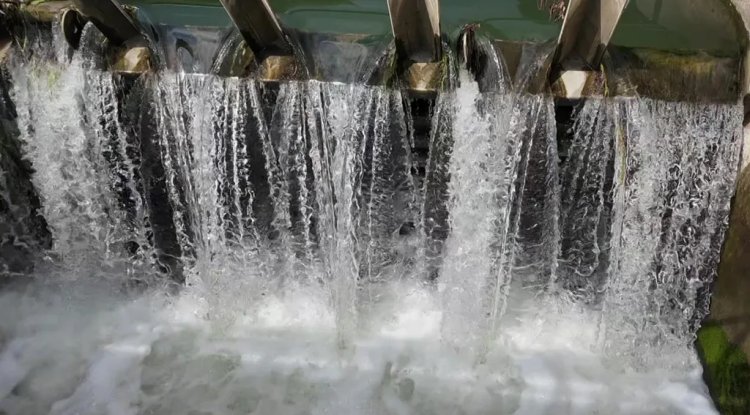 Osney Lock Hydro Celebrates a Decade of Community-Powered Green Energy