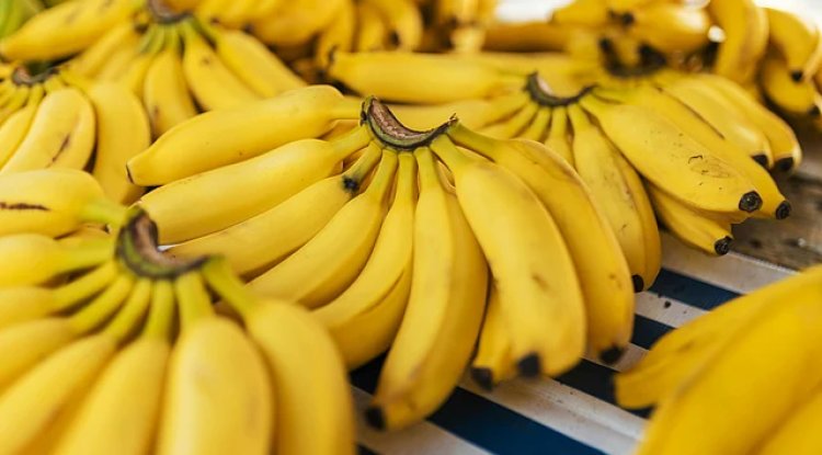 Climate Change Threatens India’s Banana Export Ambitions
