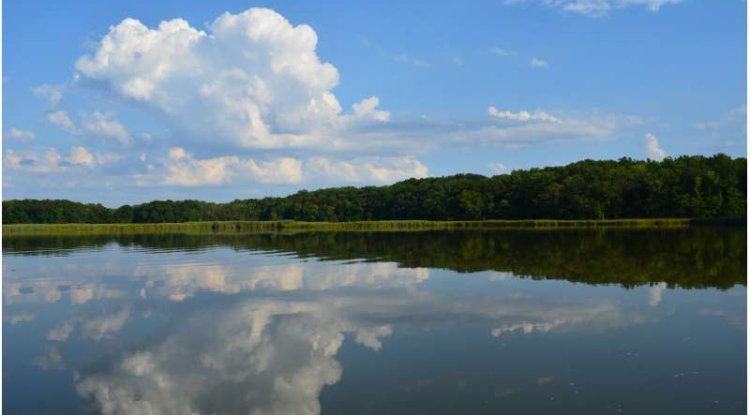 Chesapeake Bay Faces Increasing Marine Heatwaves, Satellite Study Finds