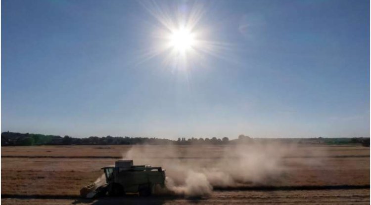 Severe Drought Threatens Northern Europe’s Crops