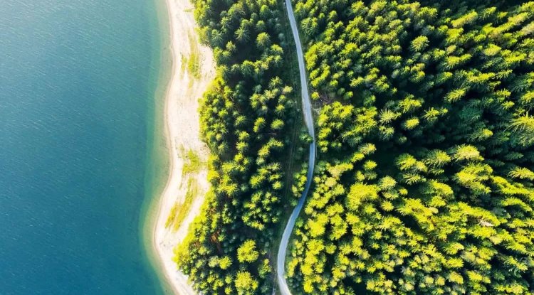 WTTC and Greenview Launch ESG Policy Tracker for Tourism Industry