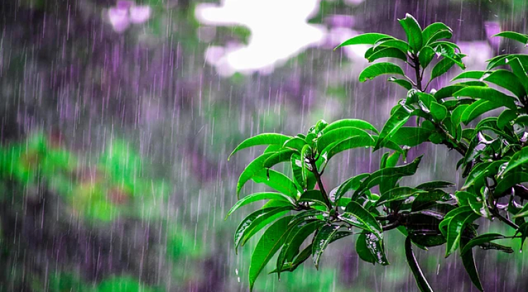 Mumbai Faces Early Monsoon Onset with Heavy Rainfall and Disruptions