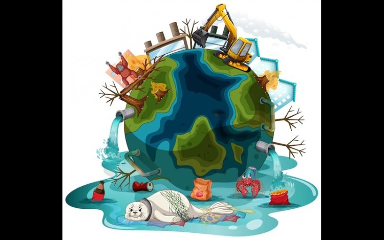 Plastic Chemical Linked To 356,000 Heart Deaths Globally