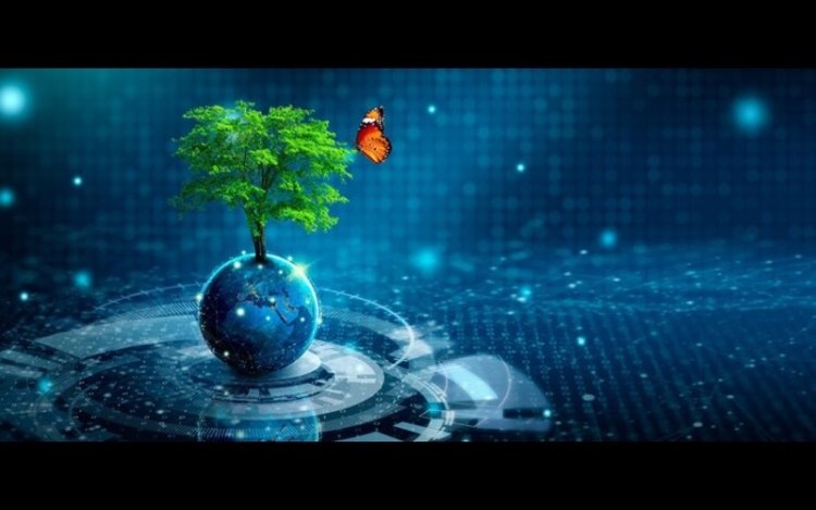 Google Launches AI Accelerator To Tackle Environmental Risks