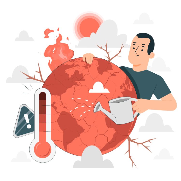 Trump Backs 24-State Lawsuit Against NY, Vermont Over Climate Liability Laws