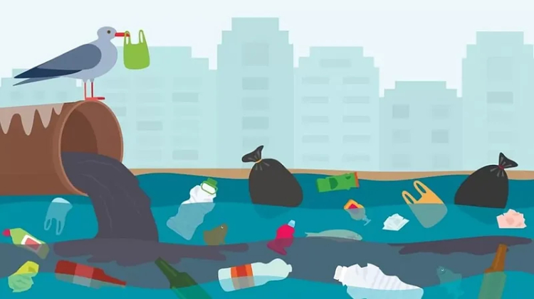 NGT Directs UP to Submit Full Report on Ganga Pollution Within Two Weeks