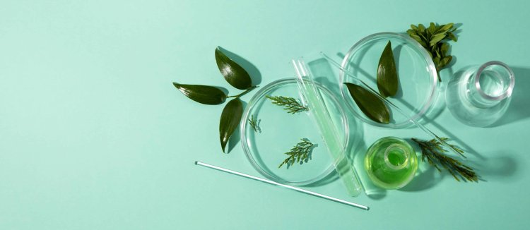 Northern Netherlands Drives Green Chemistry Transition