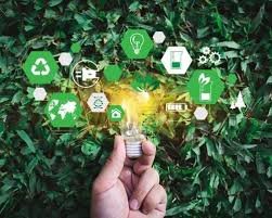 The Future of ESG in the US: Navigating Backlash and Regulation in a Polarized Landscape