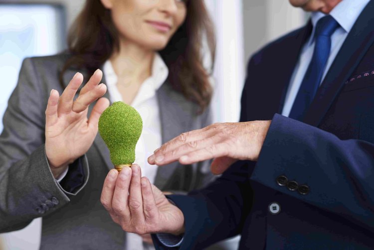 Valeo Raises €650M via Green Bond to Advance Vehicle Electrification