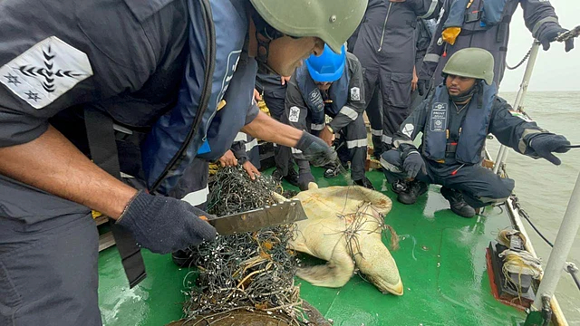 Operation Olivia Safeguards Record 6.98 Lakh Olive Ridley Turtles Amidst Fisher-Turtle Conflicts