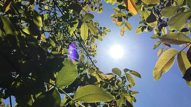 India's Approach to Combating Extreme Heatwaves: Strategies for Thermal Comfort