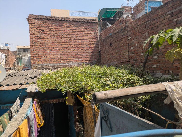 Tackling Urban Heat: Delhi’s Informal Settlements Adopt Low-Cost Cooling Solutions