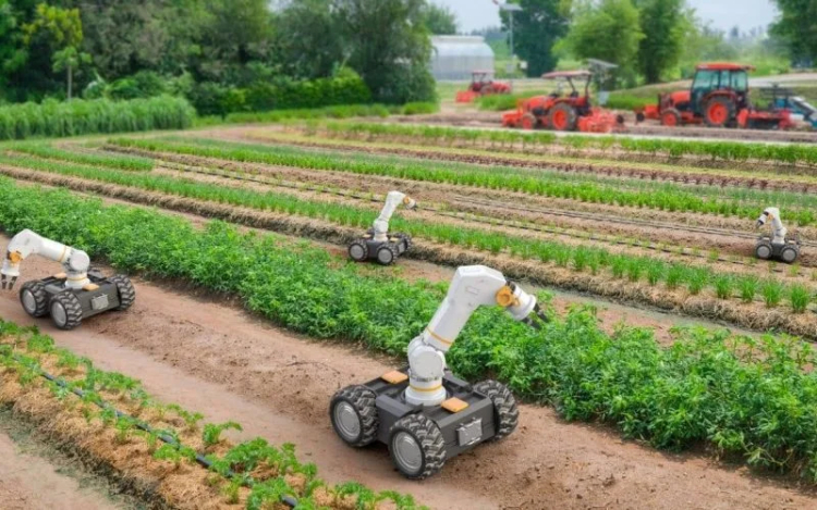 Robots Reshape Rural Employment in Agriculture and Beyond