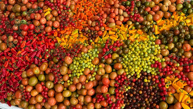 Early Monsoon Disrupts India’s Crop Prices