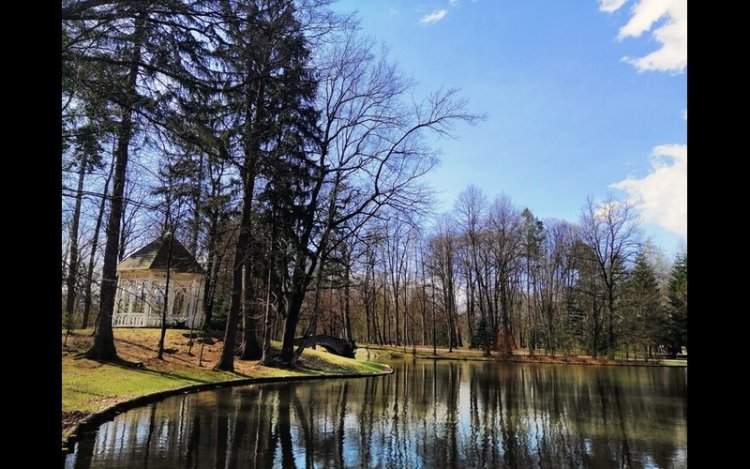 Gresham House Raises $500M For UK Forestry Fund