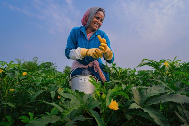 ICRISAT Launches Centre to Strengthen South-South Agricultural Cooperation