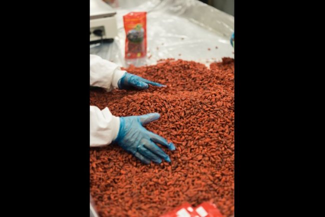 Divo Biomass Plant Turns Cocoa Waste Into Power