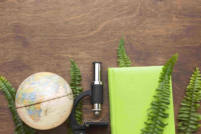 PwC Launches AI Tool to Simplify CSRD Compliance for EU Businesses