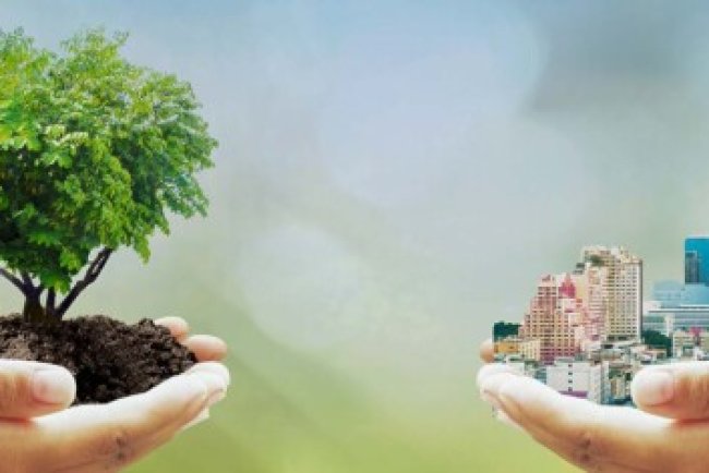 Green Building Certifications Drive Sustainable Construction in India