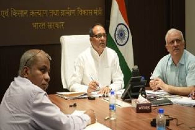 Government to Buy Moong and Groundnut Crops from Farmers