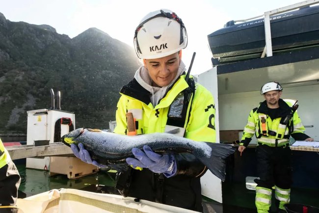 Mowi Secures €2.6 Billion Sustainability-Linked Loan for ESG Goals