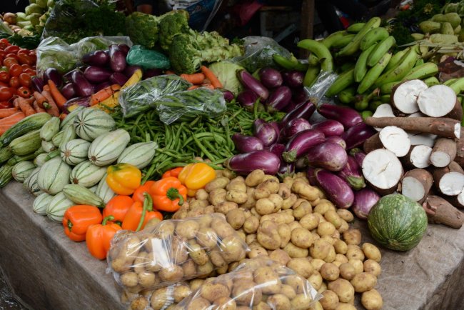 Gaps in Global Food Data Highlight Urgent Need for Updated Databases