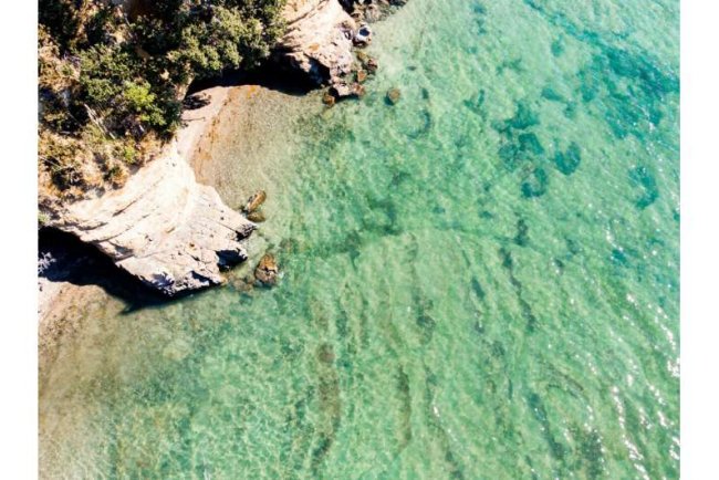 New Zealand Faces Pressure to Step Up Ocean Protection Efforts