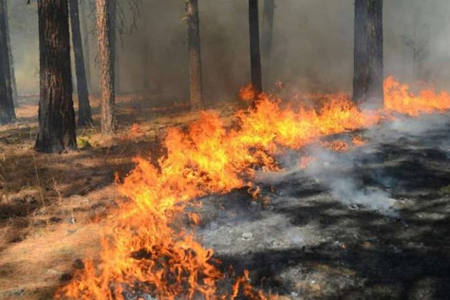 Climate Change Could Worsen Air Quality Impacts of Prescribed Burns