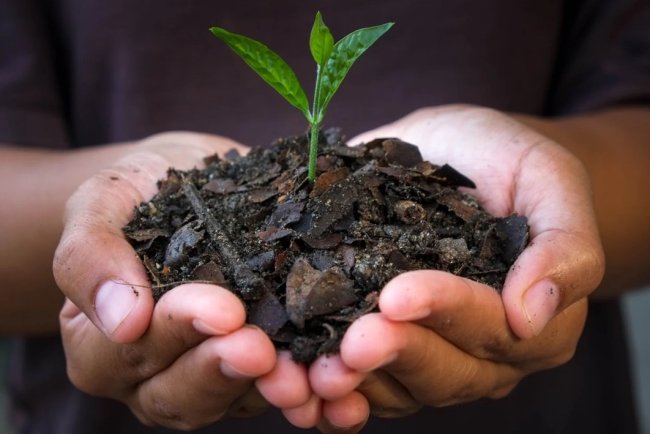 ReGenEarth and RER Launch $135M Green Bond for Biochar Projects