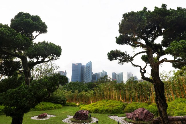 Singapore, UK, Kenya Lead Coalition to Standardise Global Carbon Markets