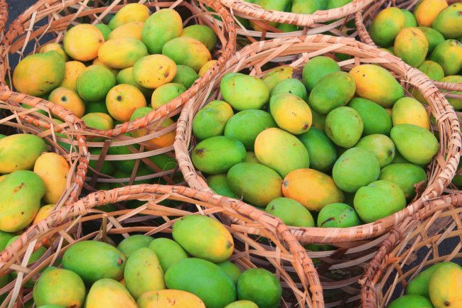 Centre Announces MSP For Mango Farmers In Karnataka Amid Price Crash
