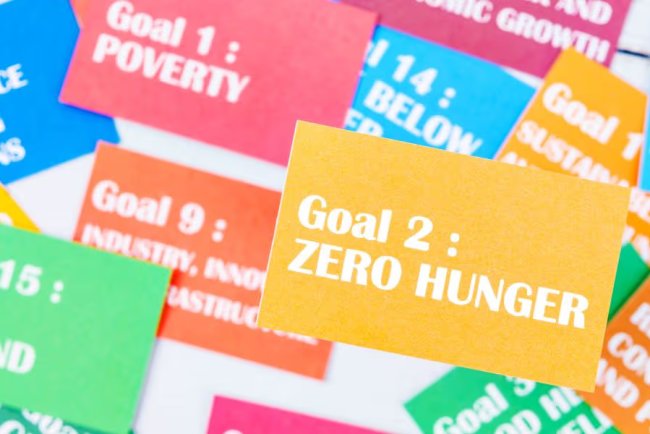 Most EU Firms Comply with ESG Rules, But Strategic Use Lags Behind