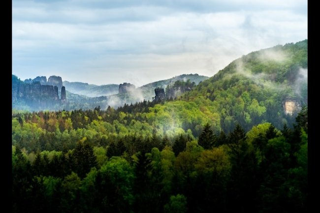 Merlin And Carbon2Nature Launch 200-Hectare Forest