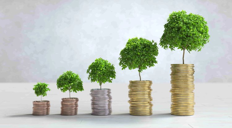 Canada Defies Global Decline in Sustainable Fund Investments