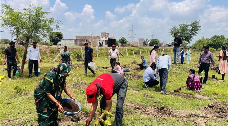 Bridgestone India Starts Nutritional Fruit Orchard Scheme in Sulawad Village 