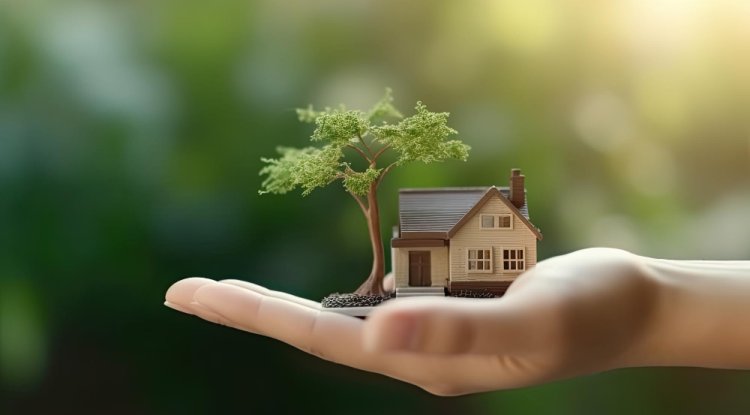 The Green Premium: How Eco-friendly Homes Are Driving Real Estate Value
