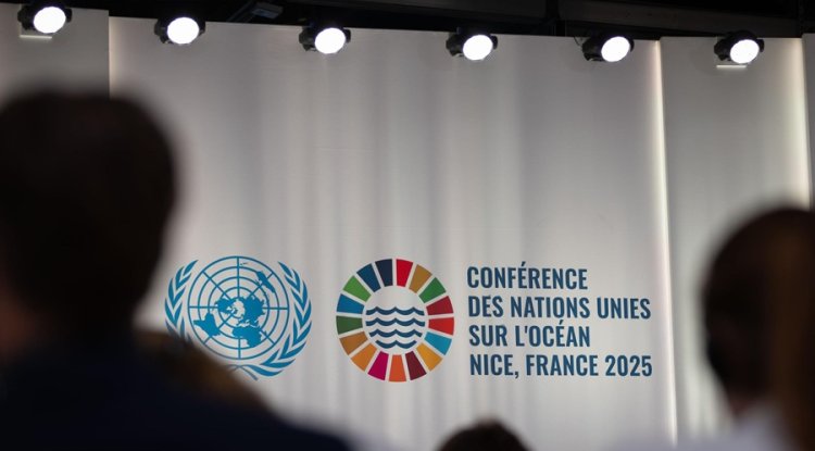 New Agreement Can Help Protect Marine Biodiversity, Say Leaders