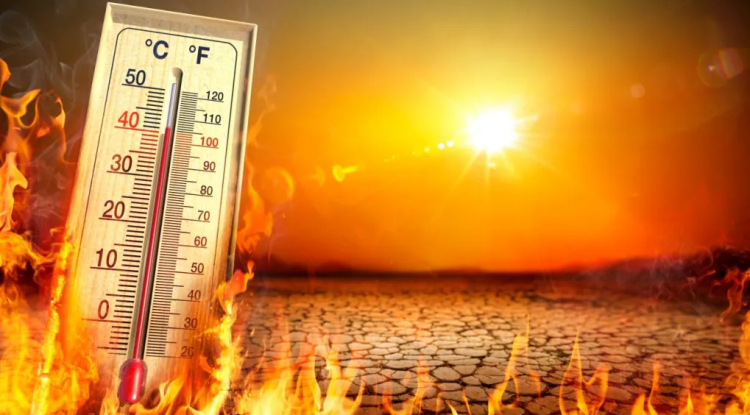 IMD Warns of Extreme Heat Until June 12, Statewise Forecast Issued